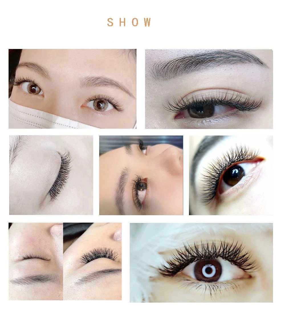 Y Lashes show